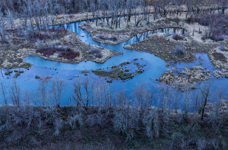 Wetland 22-7879a.jpg